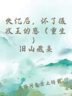 失憶后，懷了攝政王的崽（重生）