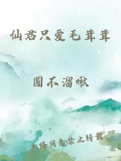 仙君只愛毛茸茸