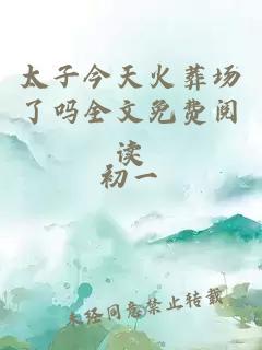 太子今天火葬場了嗎全文免費(fèi)閱讀