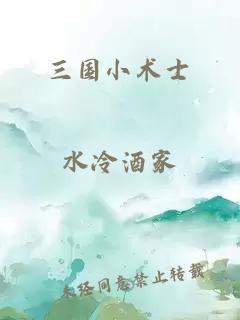 三國小術(shù)士