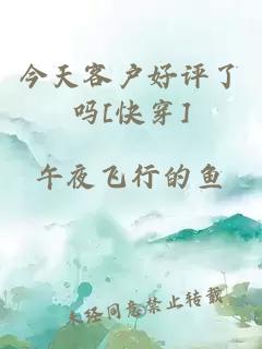 今天客戶好評了嗎[快穿]
