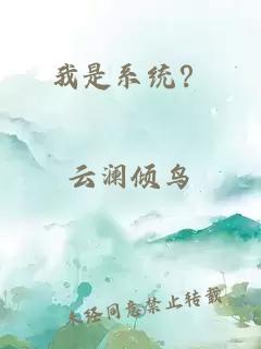 我是系統(tǒng)？