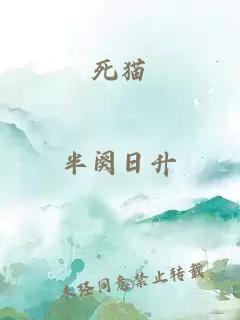 死貓