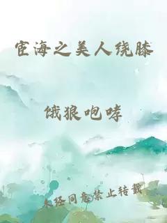 宦海之美人繞膝