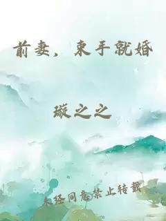 前妻，束手就婚