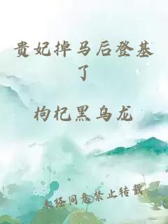 貴妃掉馬后登基了