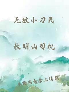 無敵小刁民