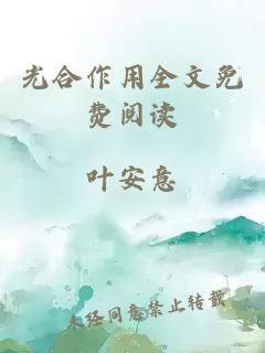 光合作用全文免費(fèi)閱讀
