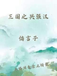 三國之興強(qiáng)漢