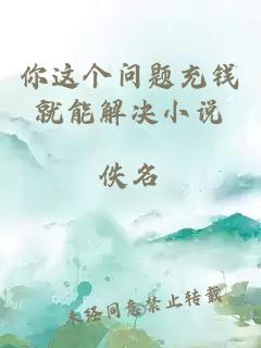你這個問題充錢就能解決小說