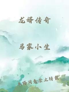 龍婿傳奇