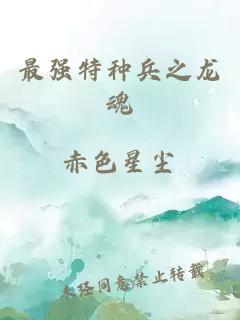 最強(qiáng)特種兵之龍魂