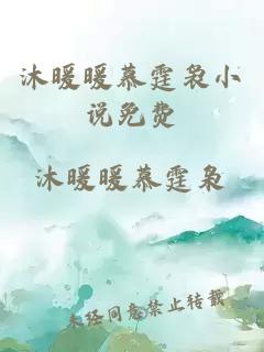 沐暖暖慕霆裊小說免費