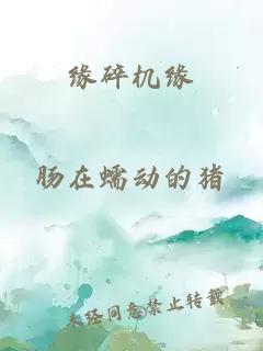 緣碎機(jī)緣