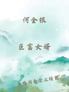 何金銀
