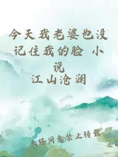 今天我老婆也沒記住我的臉 小說