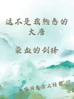 這不是我熟悉的大唐