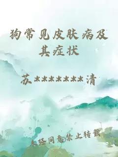 狗常見皮膚病及其癥狀