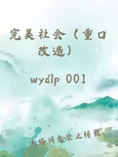 完美社會（重口改造）