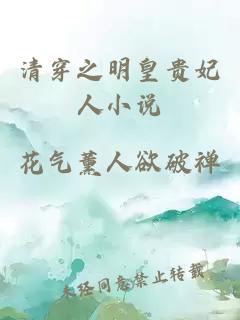 清穿之明皇貴妃人小說