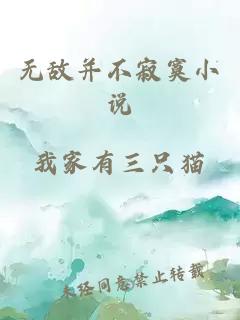無敵并不寂寞小說