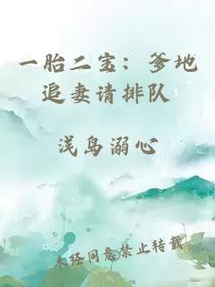 一胎二寶：爹地追妻請排隊