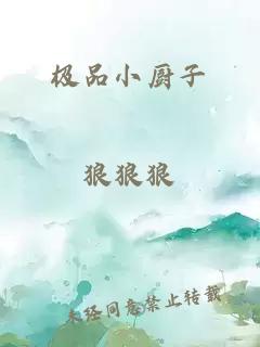 極品小廚子