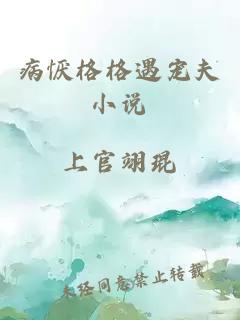 病懨格格遇寵夫小說
