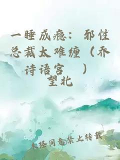 一睡成癮：邪性總裁太難纏（喬詩語宮洺）