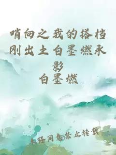 哨向之我的搭檔剛出土白墨燃承影
