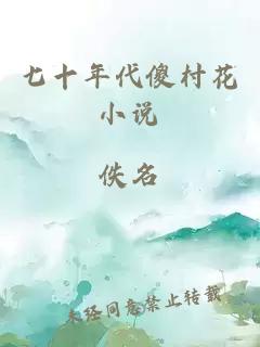 七十年代傻村花小說