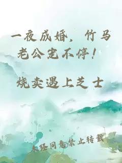 一夜成婚，竹馬老公寵不停！