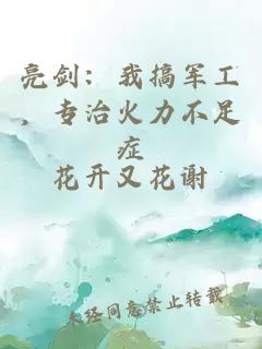 亮劍：我搞軍工，專治火力不足癥
