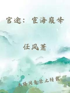 官途：宦海巔峰