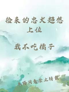 撿來的忠犬超想上位