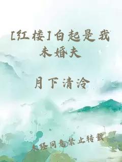 [紅樓]白起是我未婚夫