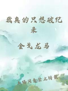 我真的只想破紀(jì)錄
