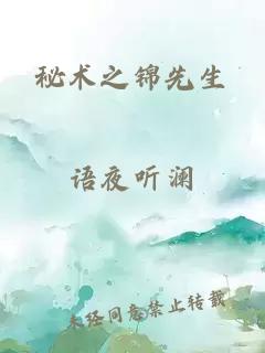 秘術(shù)之錦先生