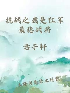 抗戰(zhàn)之我是紅軍最穩(wěn)戰(zhàn)將