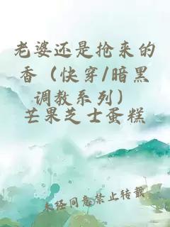 老婆還是搶來的香（快穿/暗黑調教系列）
