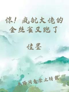 驚！瘋批大佬的金絲雀又跑了
