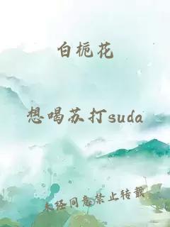 白梔花