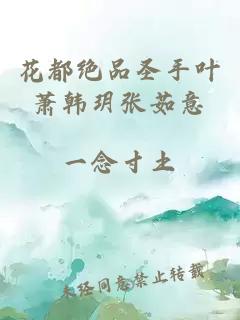 花都絕品圣手葉蕭韓玥張茹意