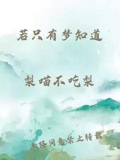 若只有夢(mèng)知道